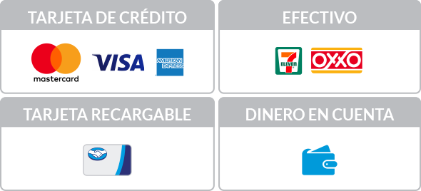 Tarjetas de crédito, efectivo, tarjta recargable, dinero en cuenta